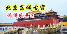 美女裸体性感白丝操鸡扒视频中国北京-东城古宫旅游风景区